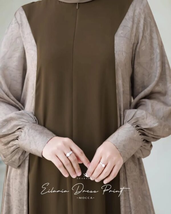 Eilaria Dress Print - Image 13