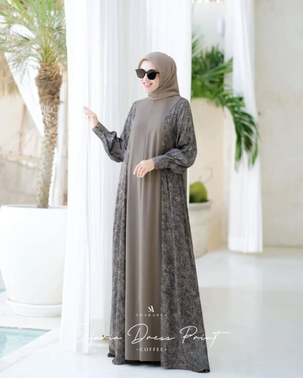 Eilaria Dress Print