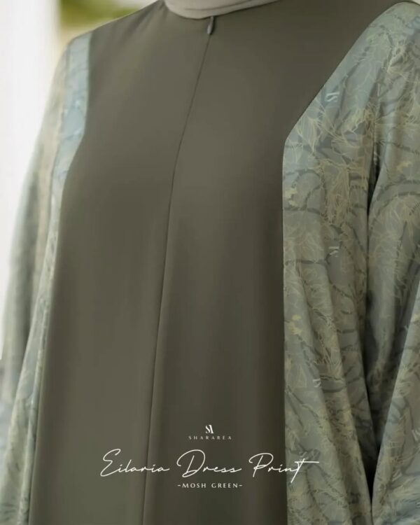 Eilaria Dress Print - Image 10