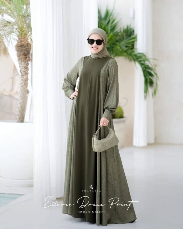 Eilaria Dress Print - Image 6