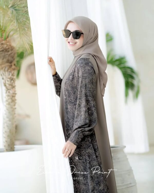 Eilaria Dress Print - Image 2