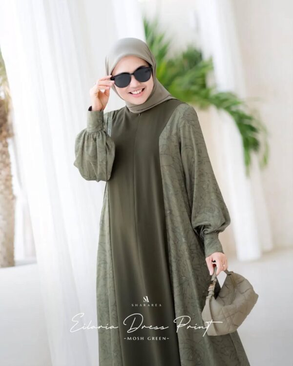 Eilaria Dress Print - Image 8