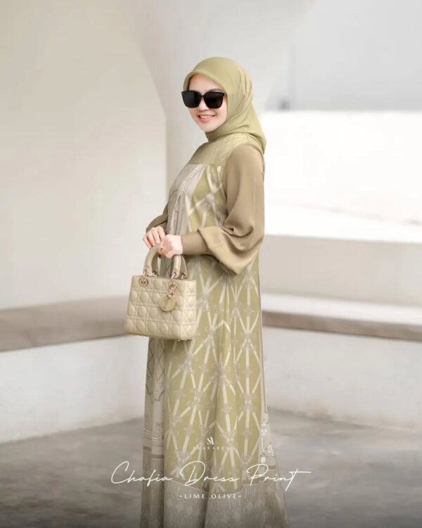 Chafia Dress Print - Image 11