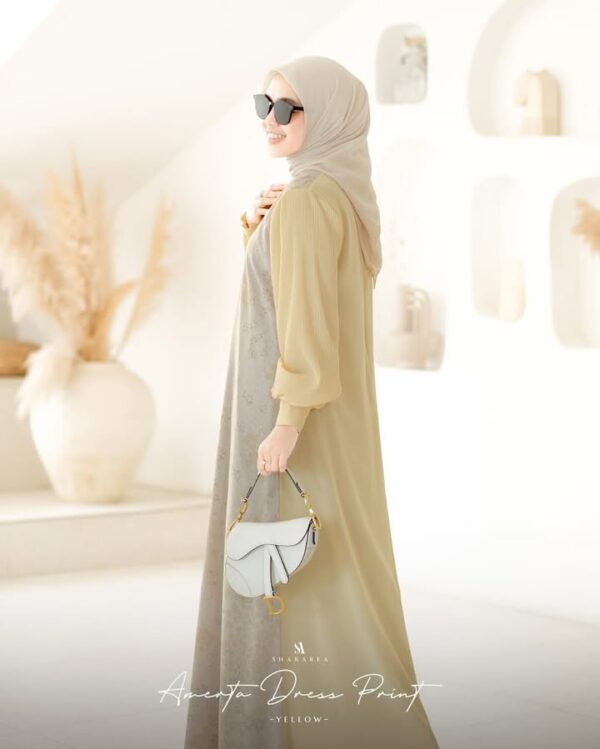 Amerta Dress Print - Image 21