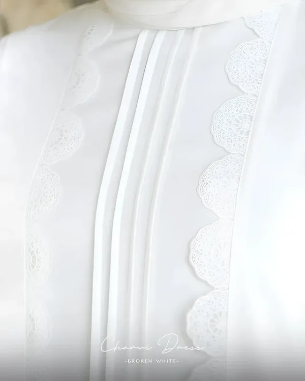 Charvi Dress - Image 13