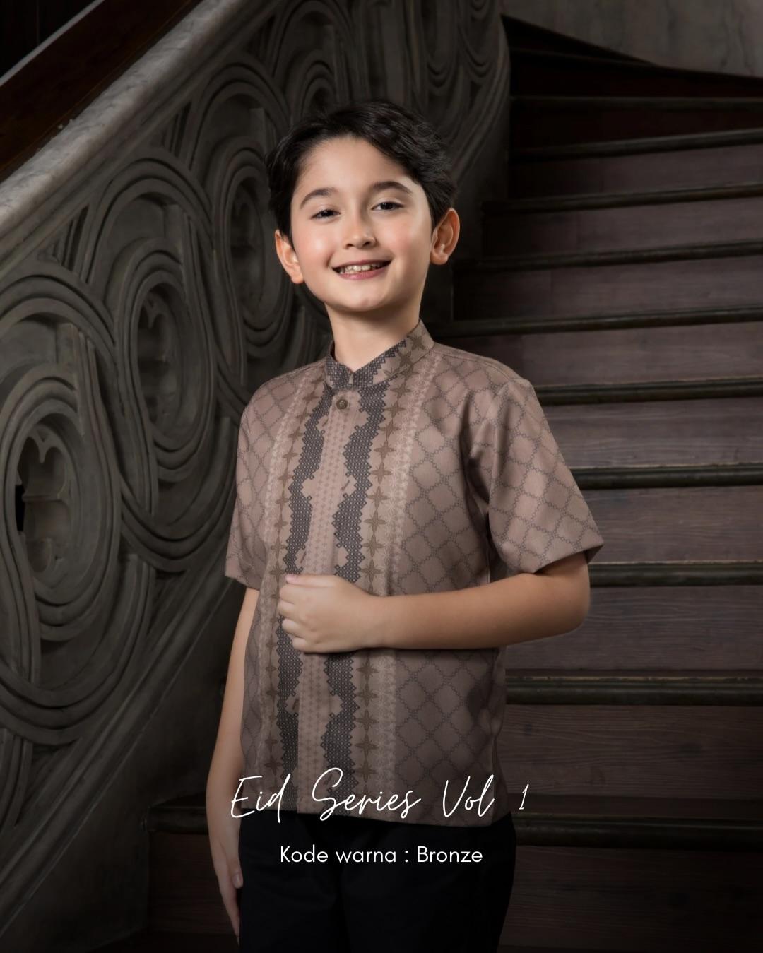 IED Series Bronze - Image 4