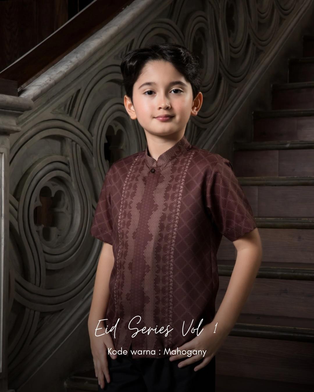 IED Series Mahogany - Image 4